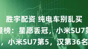 胜宇配资 纯电车别乱买！6月销量榜：星愿丢冠，小米SU7第5，汉第36名